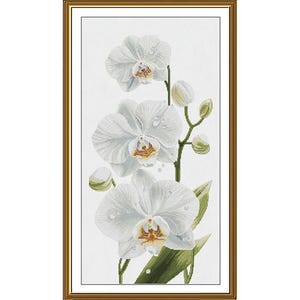 Può includere: Un ricamo a punto croce incorniciato raffigurante tre fiori di orchidea bianchi con centri gialli e arancioni, steli verdi e diversi boccioli chiusi. I petali presentano piccole gocce d'acqua, il tutto racchiuso in una sottile cornice dorata.