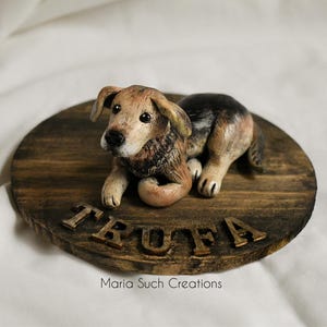 Miniature Personalized Pet figurine, Custom Pet Memorial gift, cat figurine, Personalized dog figure, gift for my crush, pet cake topper