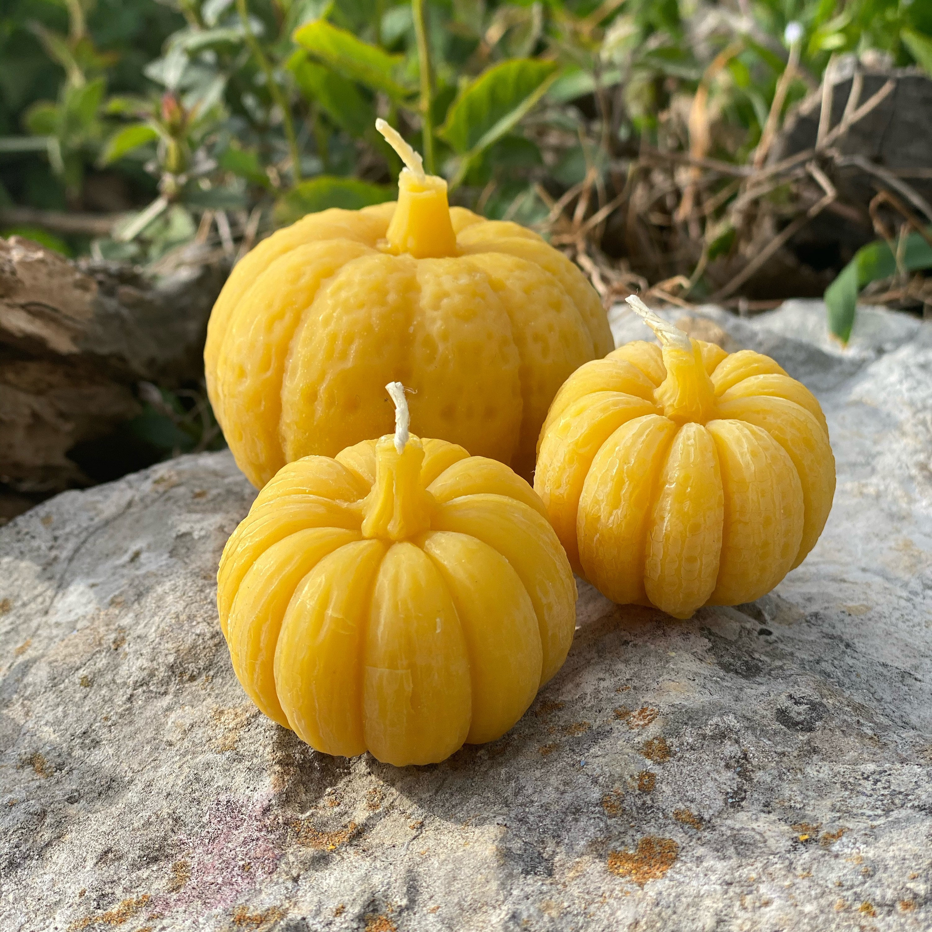 3 Bougies à La Citrouille Cire d'abeille