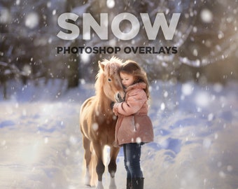 50 realistiska fallande snööverlägg: Photoshop vinterfotoeffekter (JPG-fil)
