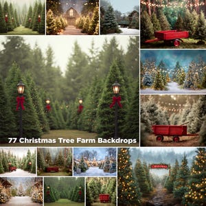 77 Christmas Tree Farm Photography Digital Backdrop: Holiday Photo Studio Template(JPG)