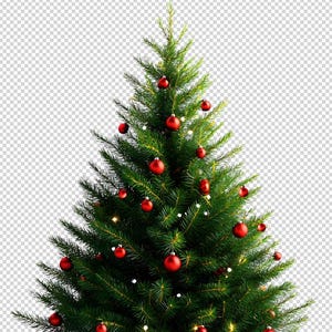 May include: A green Christmas tree decorated with red ornaments and white lights.