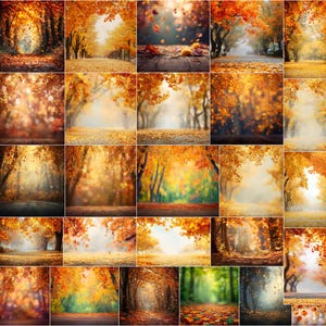 Può includere: Una collezione di immagini che mostrano la bellezza dell'autunno. Le immagini presentano un fogliame arancione e giallo vibrante, creando un'atmosfera calda e accogliente. Alcune immagini mostrano sentieri e strade fiancheggiate da alberi.