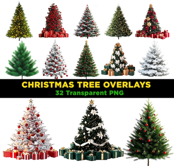 Christmas Tree PNG Overlays: Photoshop Winter Clipart (Digital Download, 4096x4096 px, 300 DPI