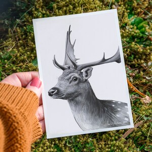 Arrêtez de chasser les animaux | Carte postale DIN A6 | Droits des animaux | Style végétalien