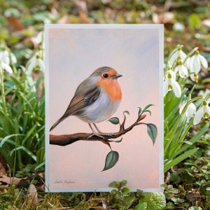 Robin | Carte postale DIN A6 | Droits des animaux | Style végétalien