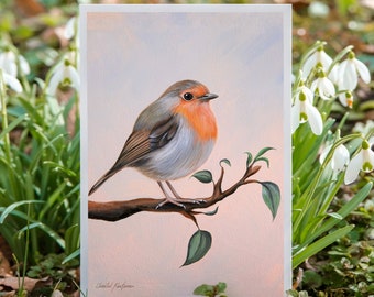 Robin | Carte postale DIN A6 | Droits des animaux | Style végétalien