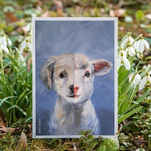 Pas pareil, mais égal | Carte postale DIN A6 | Droits des animaux | Style végétalien