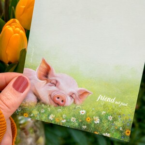 Op de afbeelding: Een roze biggetje met gesloten ogen slaapt in een veld met groen gras en witte bloemen. De tekst "friend not food" staat in wit op de afbeelding.
