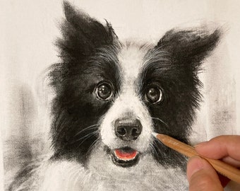 Custom Charcoal Pet Portrait: Hand-Drawn Dog or Cat Art