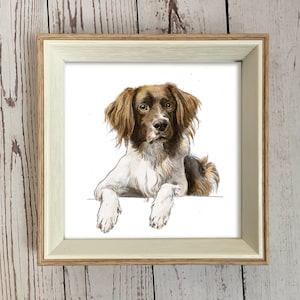 May include: A watercolor painting of a brown and white dog with floppy ears. The dog is looking directly at the viewer with a serious expression. The dog is sitting on a white background.