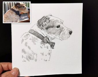 May include: A black and white pencil drawing of a dog wearing a bow tie. The dog is looking to the right of the image.
