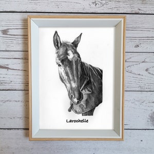 Mini Horse Portrait, Custom Pet Drawing, Sketch from Photo, Gift for Horse Lover, Personalized Memorial Gift, Pet Loss Gift, Birthday Gift