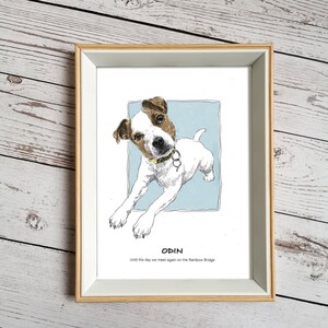 May include: A framed illustration of a Jack Russell Terrier dog named Odin. The dog is white with brown markings and is looking up at the viewer. The text "Odin" and "Until the day we meet again on the Rainbow Bridge" is printed below the image.