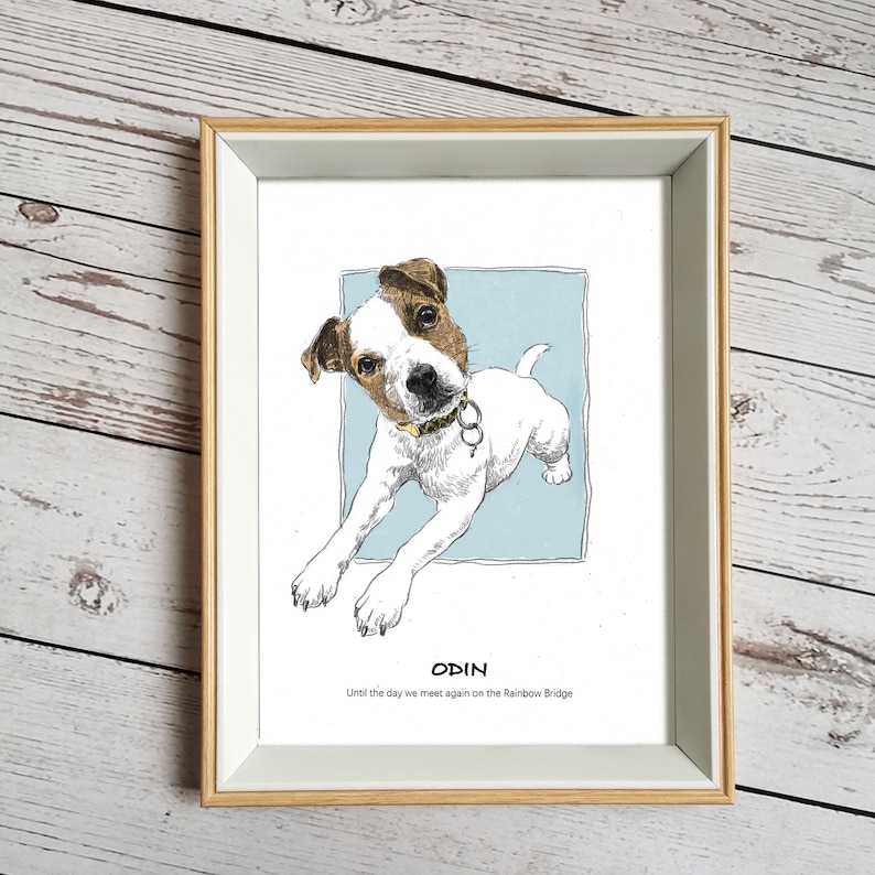 May include: A framed illustration of a Jack Russell Terrier dog named Odin. The dog is white with brown markings and is looking up at the viewer. The text "Odin" and "Until the day we meet again on the Rainbow Bridge" is printed below the image.