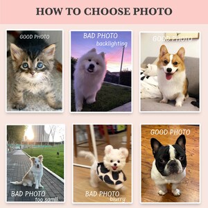May include: A graphic with the text "HOW TO CHOOSE PHOTO" and examples of good and bad photos. The examples include a kitten, a dog with backlighting, a corgi, a dog that is too small, a blurry dog, and a French bulldog.