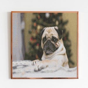 May include: A pug dog with a brown and black face sits in front of a decorated Christmas tree. The dog is looking directly at the camera.
