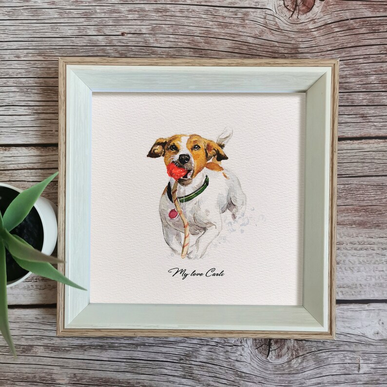 May include: A framed watercolor painting of a dog with brown and white fur, holding a red toy in its mouth. The dog is running towards the viewer. The painting is on a white background and has the text "My love Carl" written below the dog.