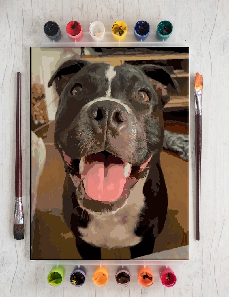 Kit de pintura por números personalizado, 24, 36 o 48 colores, kit para adultos, colorea por números personalizado, regalo de cumpleaños, Navidad o aniversario. imagen 2