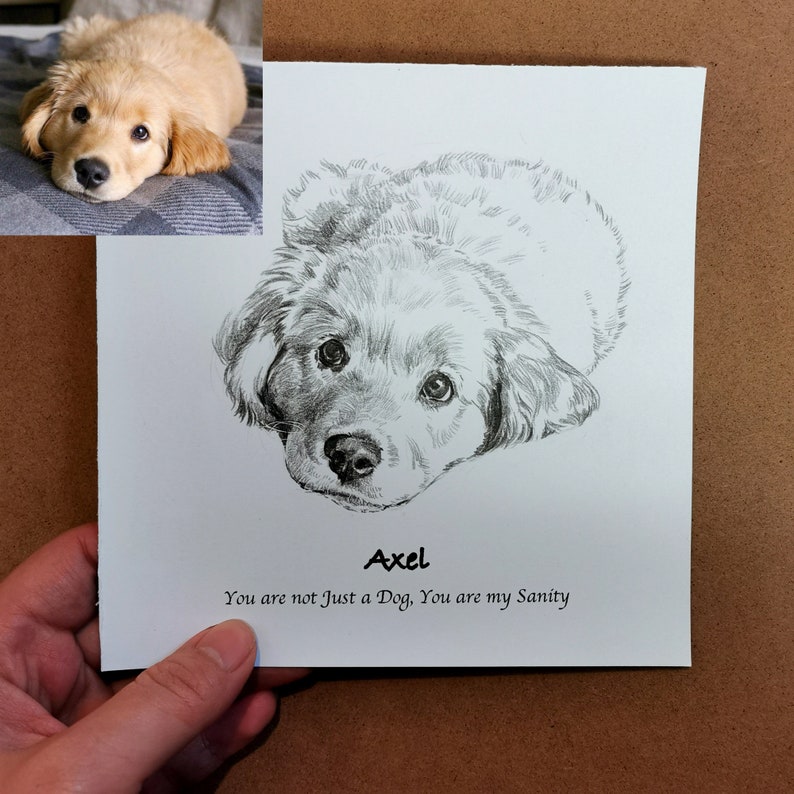 Personalisierte Haustier Skizze, individuelle Tierzeichnung, Hundeportrait vom Foto, Hundeliebhaber Illustration, Haustier Erinnerung Geschenk, Haustier Verlust Geschenk, Bild 3