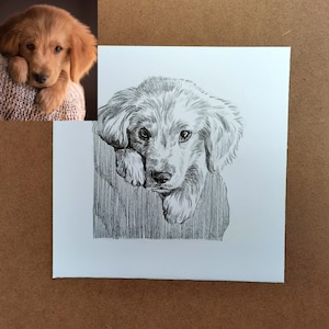 Personalisierte Haustier Skizze, individuelle Tierzeichnung, Hundeportrait vom Foto, Hundeliebhaber Illustration, Haustier Erinnerung Geschenk, Haustier Verlust Geschenk, Bild 2