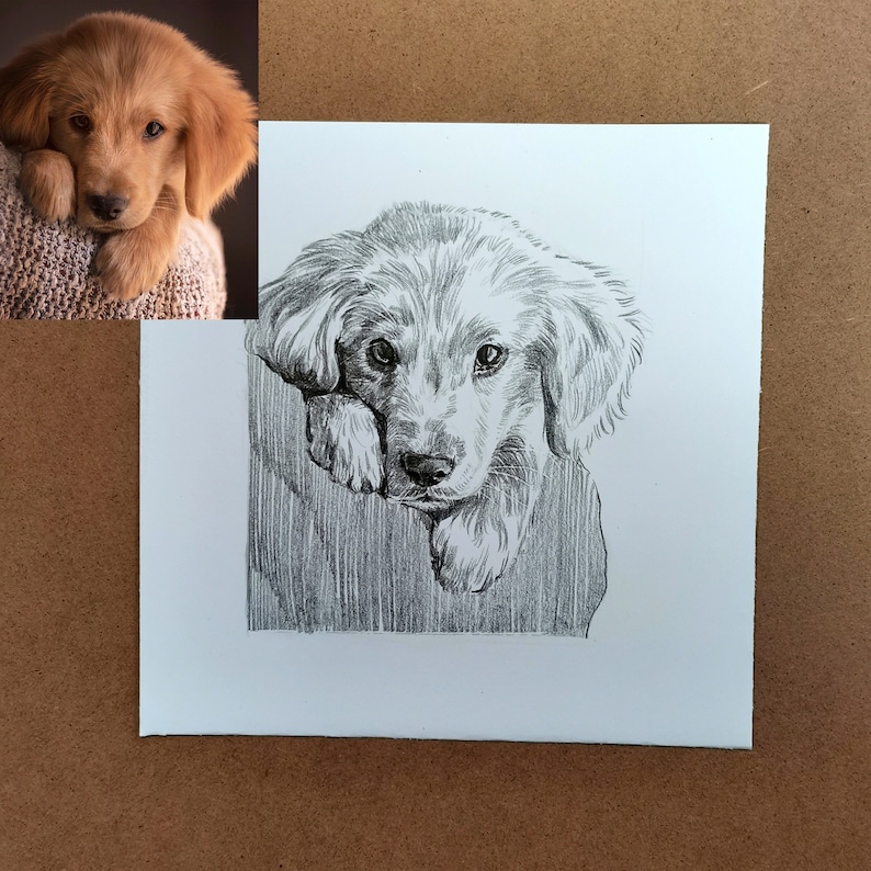 Personalisierte Haustier Skizze, individuelle Tierzeichnung, Hundeportrait vom Foto, Hundeliebhaber Illustration, Haustier Erinnerung Geschenk, Haustier Verlust Geschenk, Bild 2