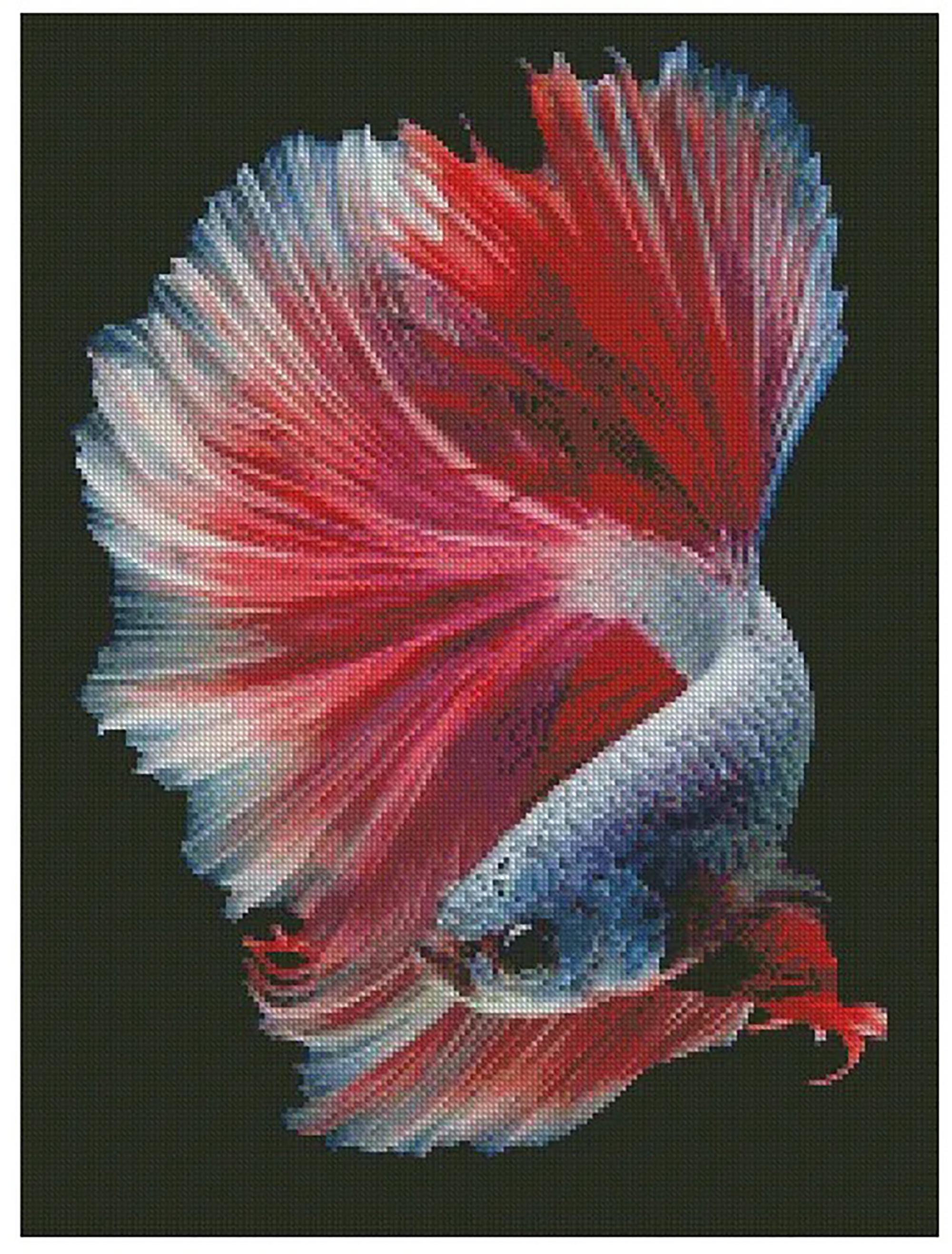 Pavemlo Kit Diamond Painting 5D Completo - Pesce Bocca Aperta, Animale, 30x40 Cm - Fai Da Te Con Strass, Tela, Strumenti, Decorazione Parete