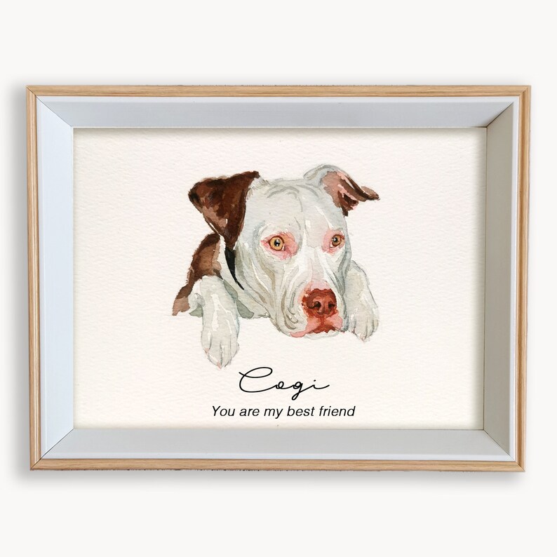 May include: A watercolor painting of a white and brown dog with brown eyes. The dog is looking at the viewer and has its head resting on its paws. The painting is framed in a light wood frame and has the text "Cogi You are my best friend" written below the dog.