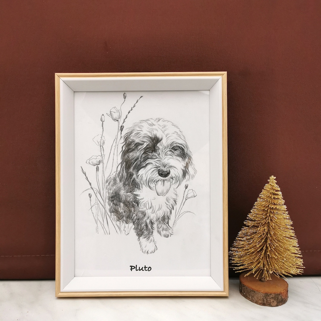 Hand Drawn Pet Portrait: Custom Dog & Cat Sketch From Photo - Etsy