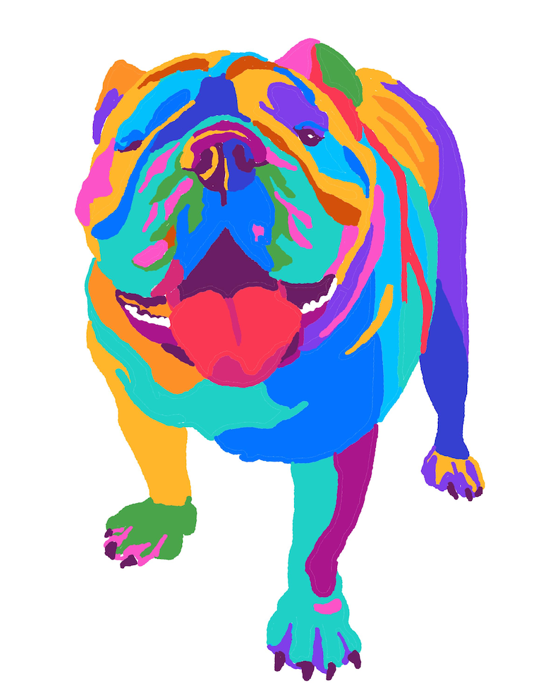 May include: A colorful illustration of a bulldog in a pop art style. The dog is depicted with a variety of bright colors, including blue, orange, green, and purple. The dog's tongue is red, and it appears to be panting.