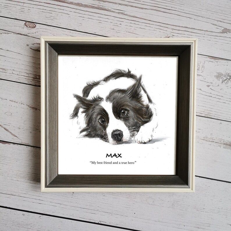 May include: Framed black and white illustration of a dog named Max. The dog is a Border Collie and is lying down with its head turned to the side. The text below the dog reads "My best friend and a true hero."
