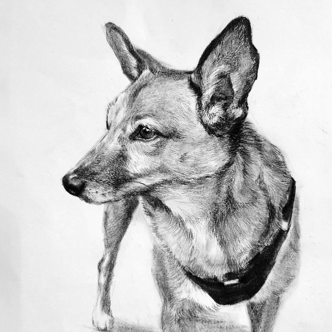カスタムペットポートレート：手描きの木炭画の犬または猫のアート