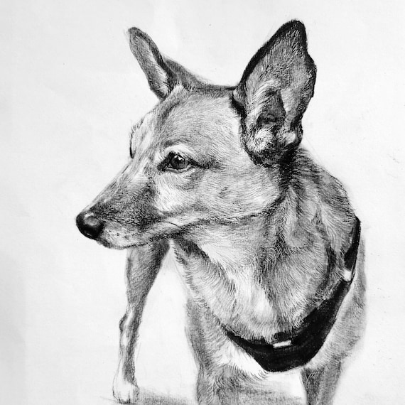 カスタムペットポートレート：手描きの木炭画の犬または猫のアート