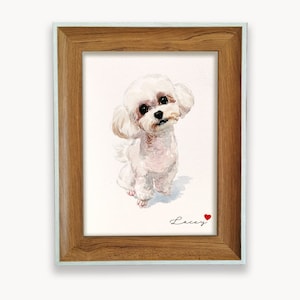 May include: A framed watercolor painting of a white poodle dog with a red heart and the name "Lacey" written below the dog.