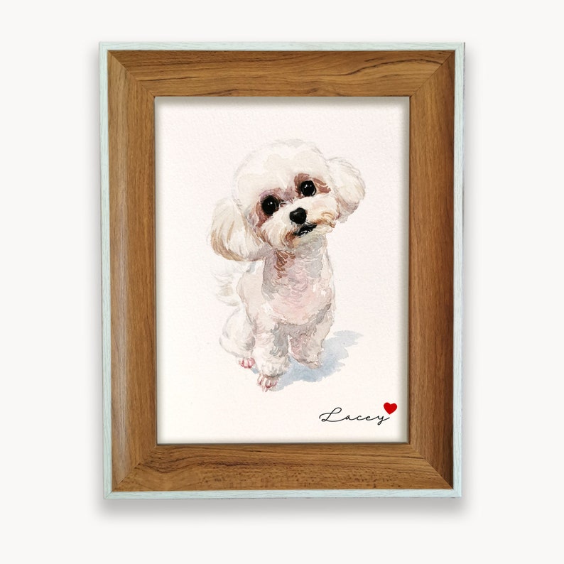 May include: A framed watercolor painting of a white poodle dog with a red heart and the name "Lacey" written below the dog.
