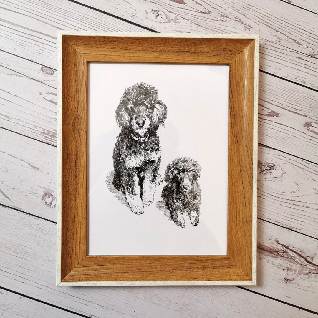 Personalized Hand-drawn Pet Portrait: Custom Art Sketch From Photo - Etsy
