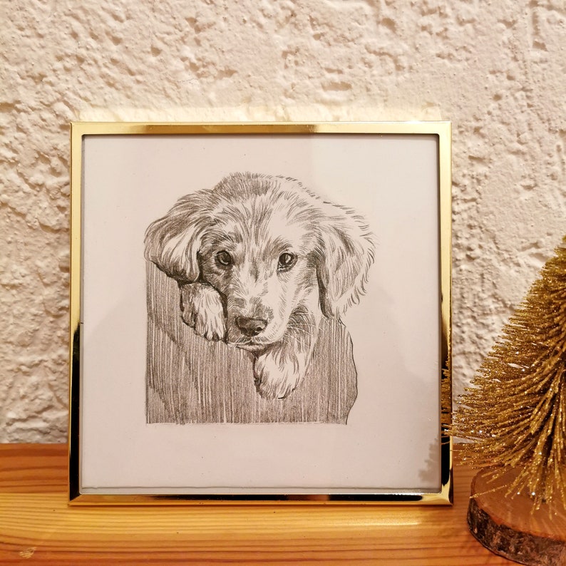 Personalisierte Haustier Skizze, individuelle Tierzeichnung, Hundeportrait vom Foto, Hundeliebhaber Illustration, Haustier Erinnerung Geschenk, Haustier Verlust Geschenk, Bild 5