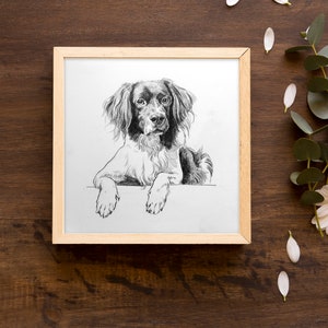 Personalisierte Haustier Skizze, individuelle Tierzeichnung, Hundeportrait vom Foto, Hundeliebhaber Illustration, Haustier Erinnerung Geschenk, Haustier Verlust Geschenk, Bild 4