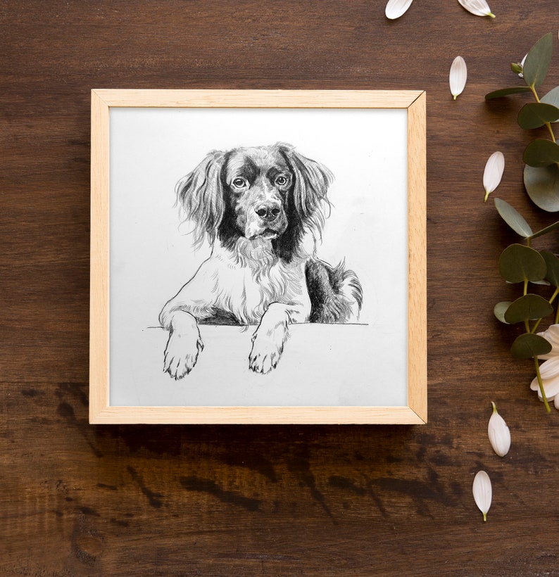 Personalised Pet Sketch, Custom Animal Drawing, Dog Portrait from Photo, Dog Lover Illustration, Pet Memorial Gift, Pet Loss Gift, image 4