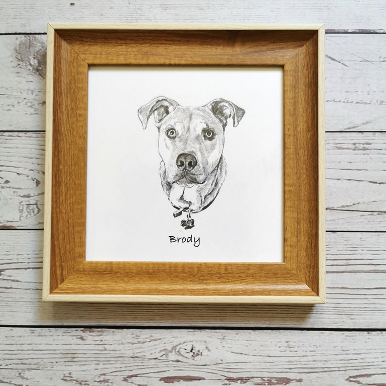 May include: A framed pencil sketch of a dog's face, with the name "Brody" written below. The artwork is in a light brown wooden frame with a white mat. The dog has a focused gaze and a collar.