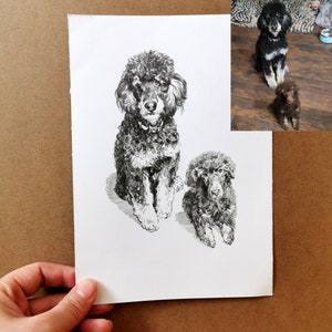 May include: Black and white pen and ink drawing of two poodles. The larger poodle is seated, facing forward, with a collar. The smaller poodle is seated below. The drawing is on white paper, held by a hand, with two color photos of the poodles in the background.