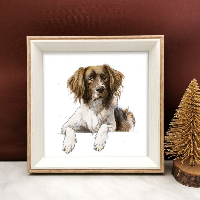 May include: A framed illustration of a brown and white dog with brown eyes. The dog is looking directly at the viewer and has its paws resting on a white surface.