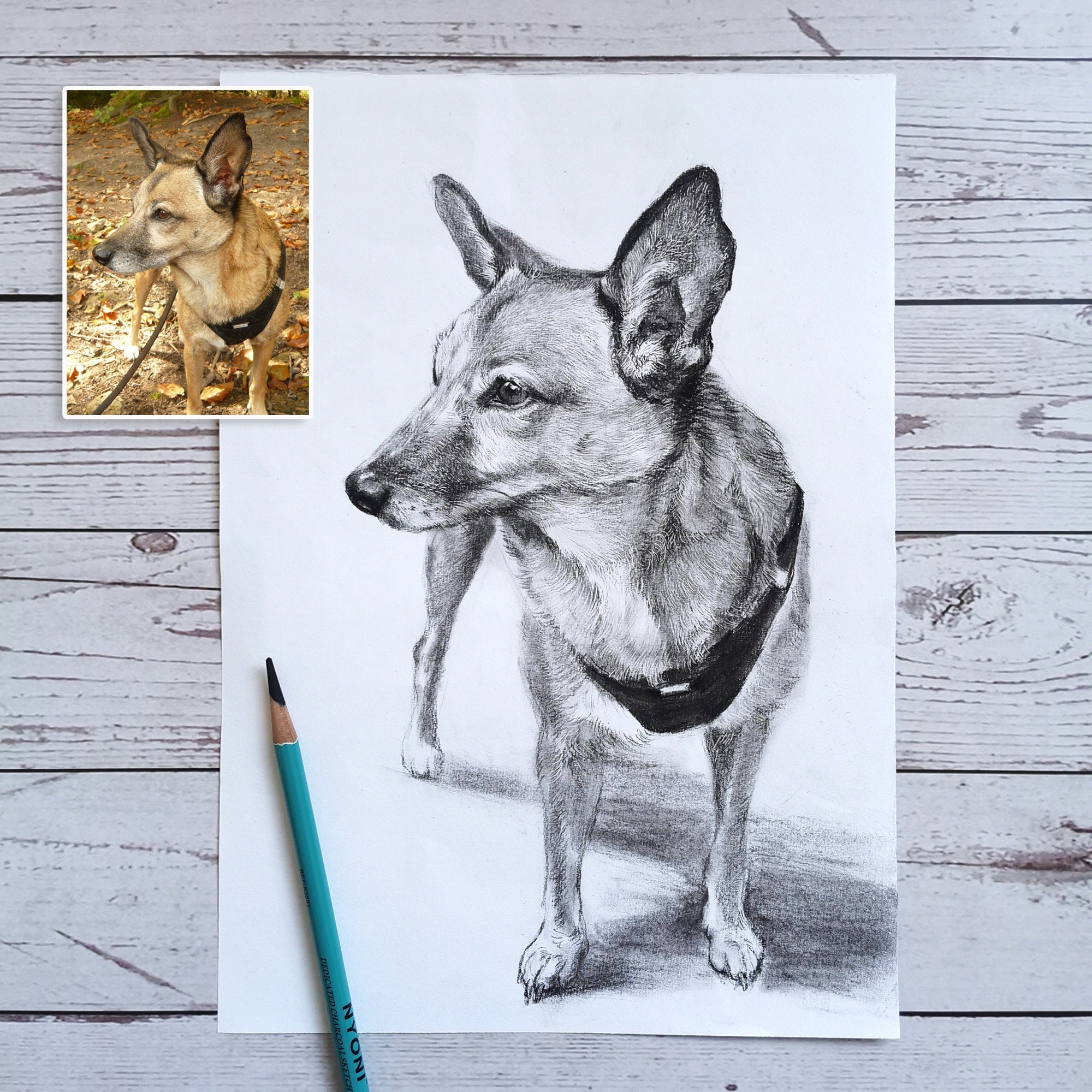 Custom Dog Charcoal Portrait: Hand-Drawn Pet Memorial