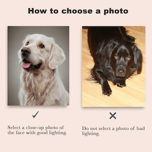 May include: Two photos of dogs, one with good lighting and one with bad lighting. The photo with good lighting shows a close-up of a white dog's face. The photo with bad lighting shows a black dog lying down on a wooden floor.