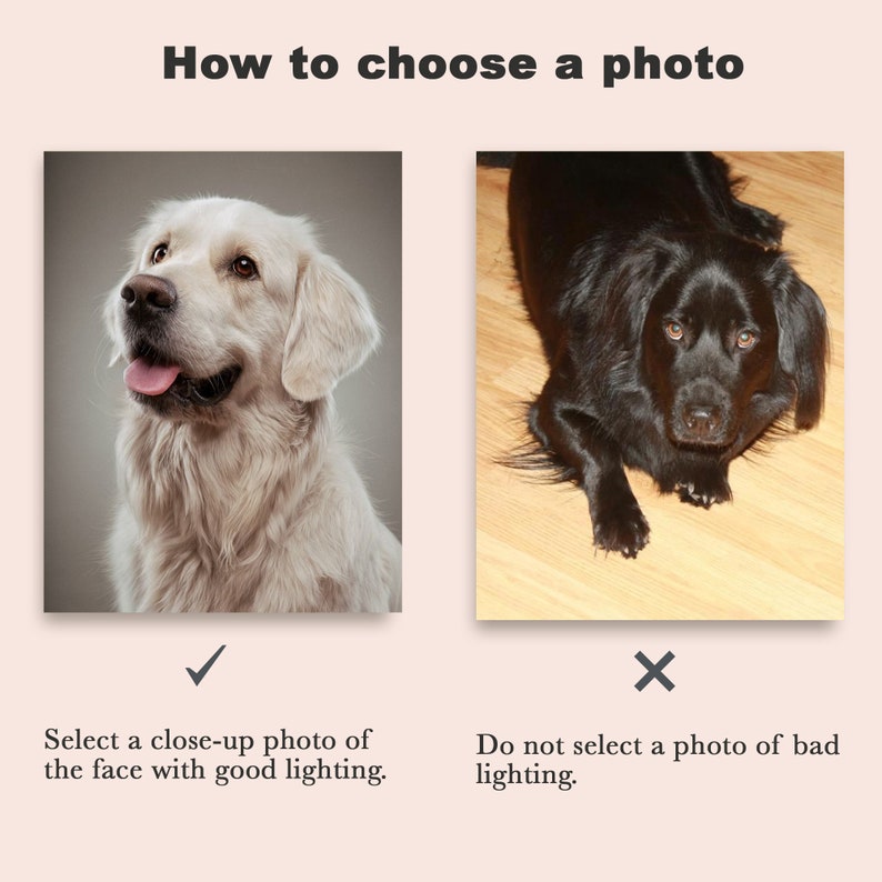 May include: Two photos of dogs, one with good lighting and one with bad lighting. The photo with good lighting shows a close-up of a white dog's face. The photo with bad lighting shows a black dog lying down on a wooden floor.