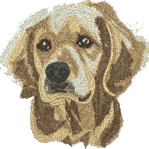 Golden retriever dog portrait made for custom logo embroidery digitizing, pet image digitize artwork, and detailed back logo embroidery designs, showcasing high-quality digitizing work.