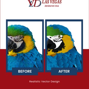 Photo to SVG, Images to SVG, Photo to Vector, Image to Vector, Custom Cutting File, Logo to Vector, Convert to SVG, Logo Conversion, image 10