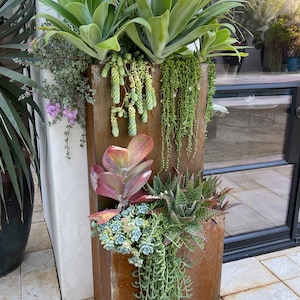 May include: A tall, rusty metal planter with a variety of succulents and plants. The planter is divided into two sections, with the top section featuring a large green succulent and the bottom section featuring a variety of smaller succulents.