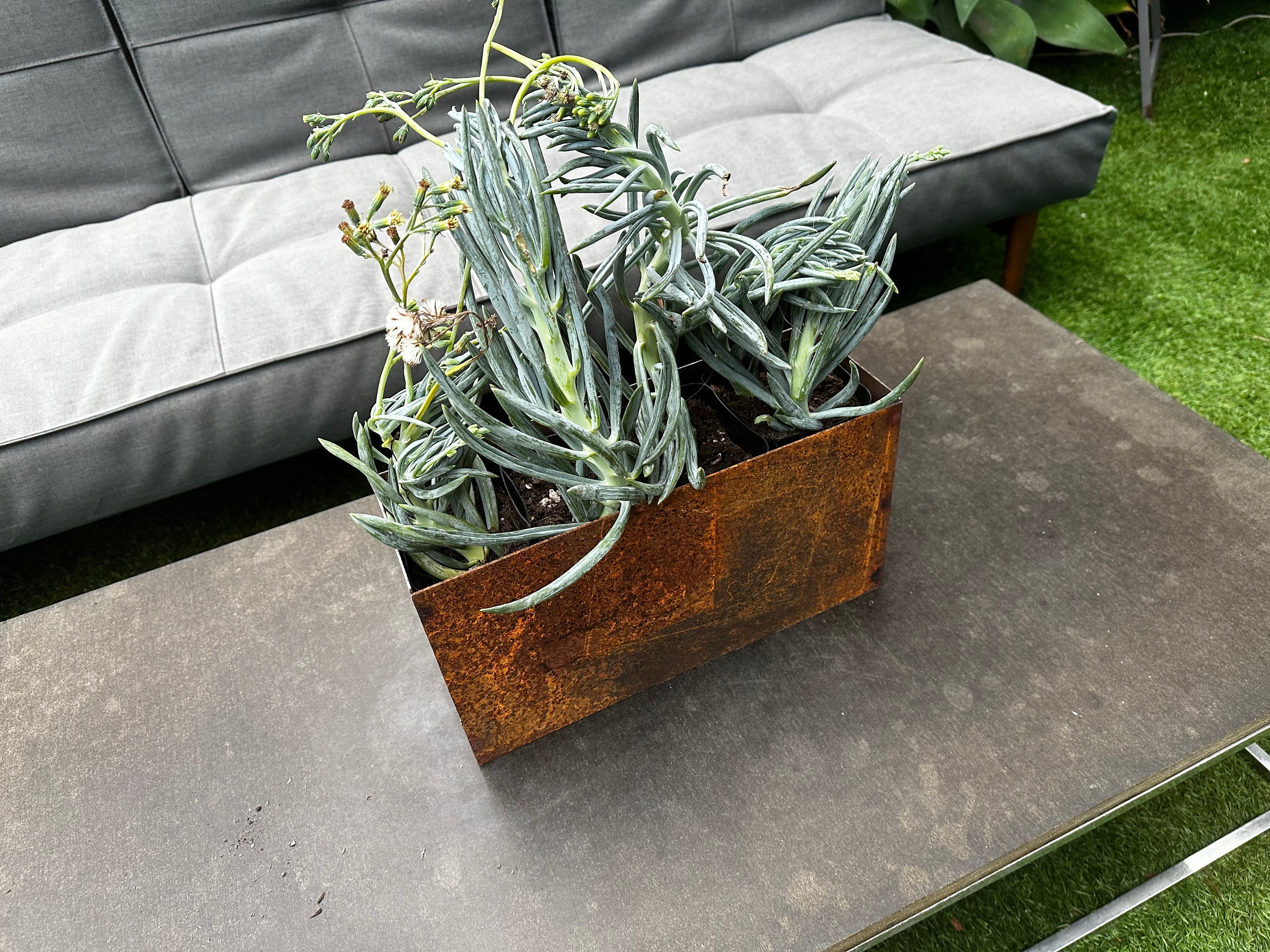 Table Top Planter 15 X 5 X 8 - Etsy