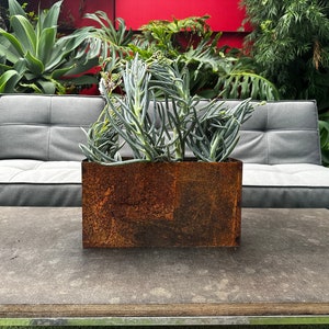 May include: A rusty metal planter with a succulent plant inside. The planter is sitting on a gray table in front of a gray couch.
